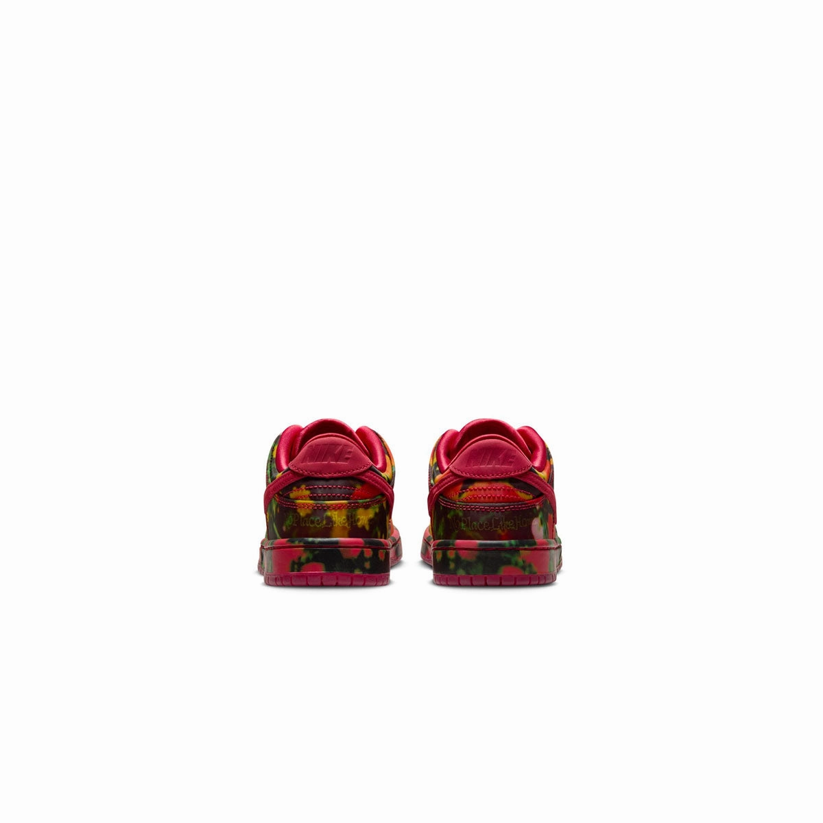 '  Wizard of Oz Kids SB Dunk Low Pro 'Poppy Fields'