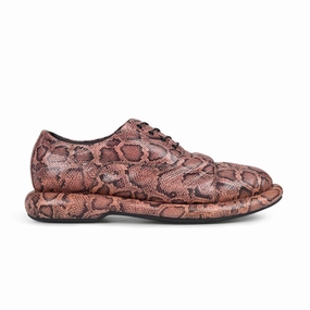   Martine Rose Wmns Oxford 'Rose Snake' Fashion Shoes for Women