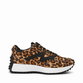 Capitale-L Trainer LEOPARD Trainers for Women online