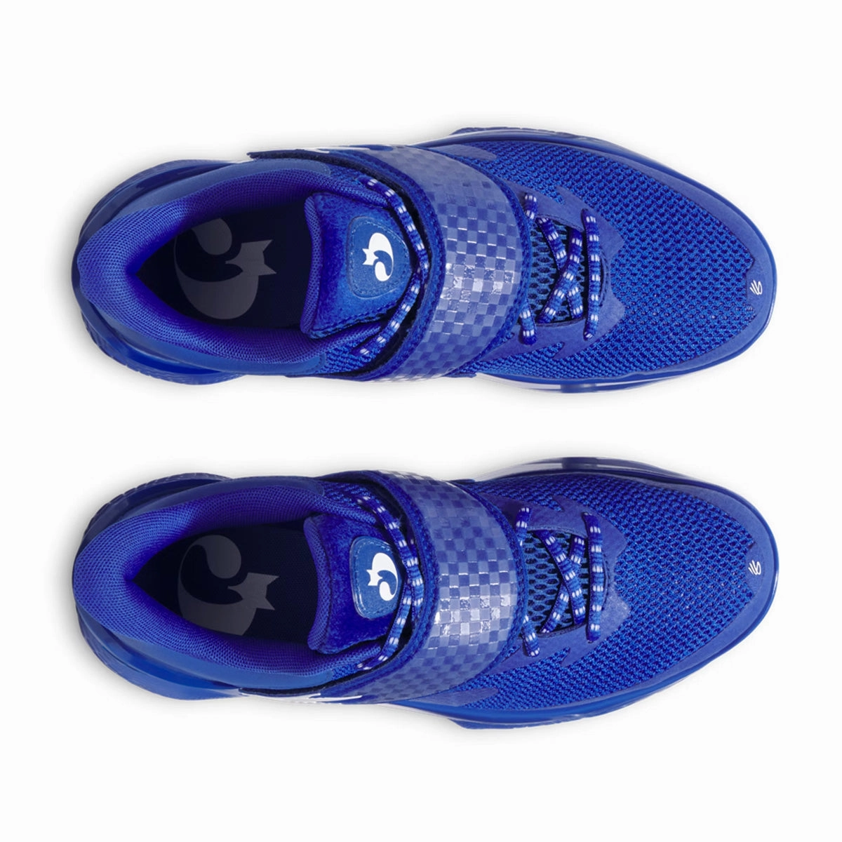 Curry Fox 1 'Lexington'
