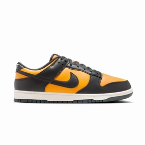 Dunk Low Retro 'Sundial Anthracite' Mens Footwear best price