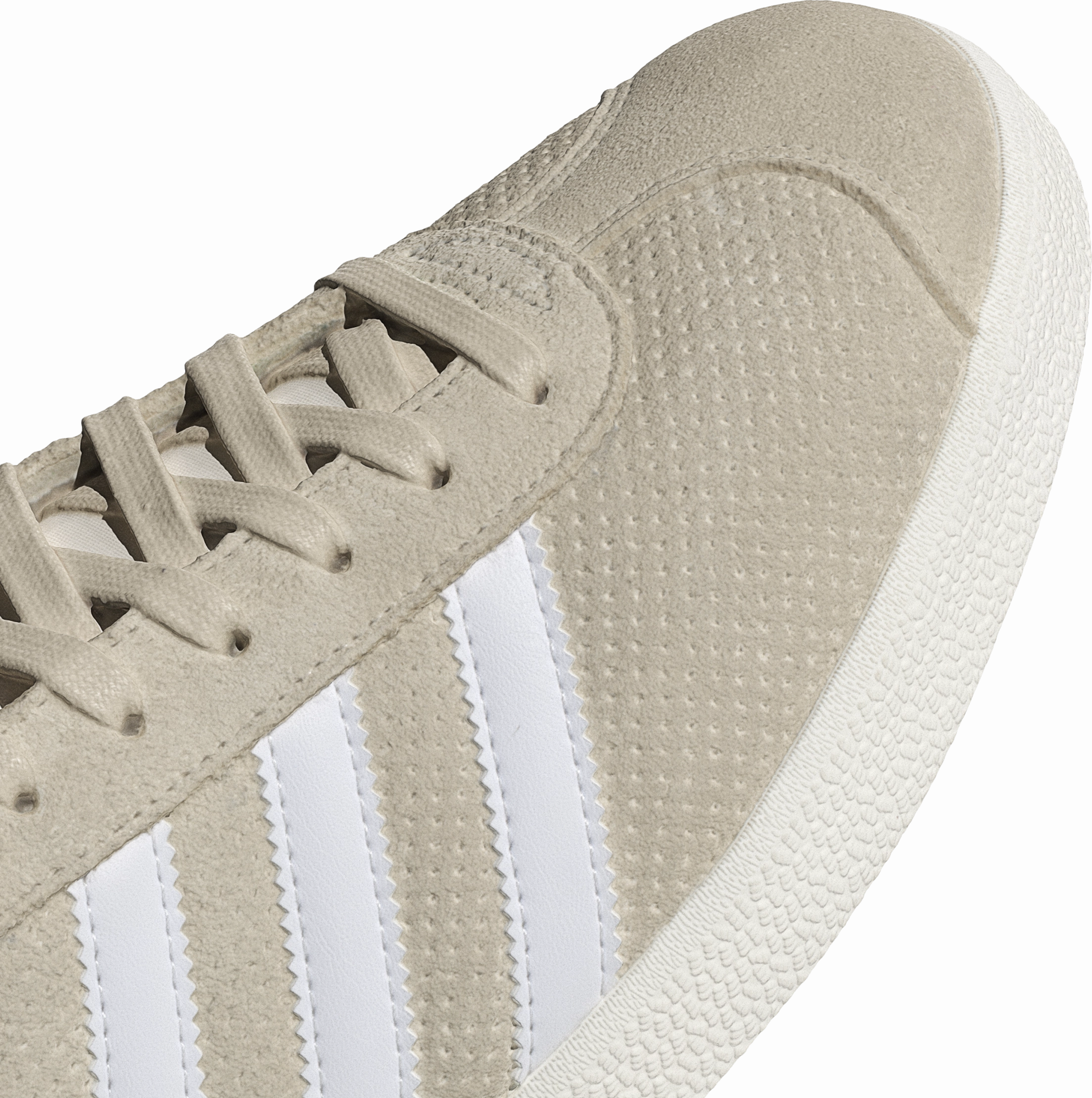 Gazelle 'Wonder White'