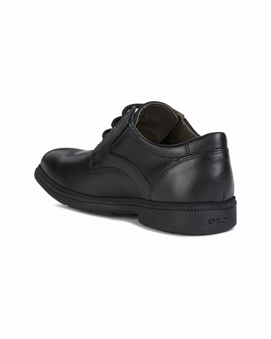 Geox Federico Leather Shoe