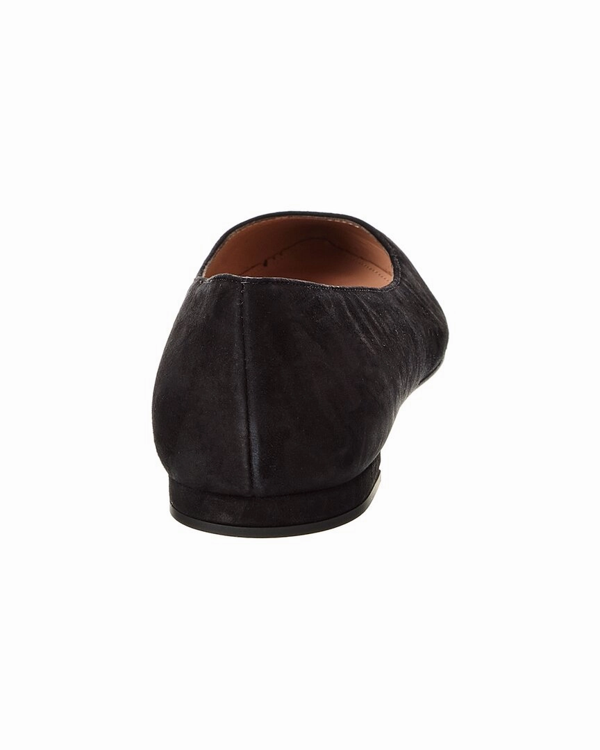 Gianvito Rossi Gianvito Suede Flat