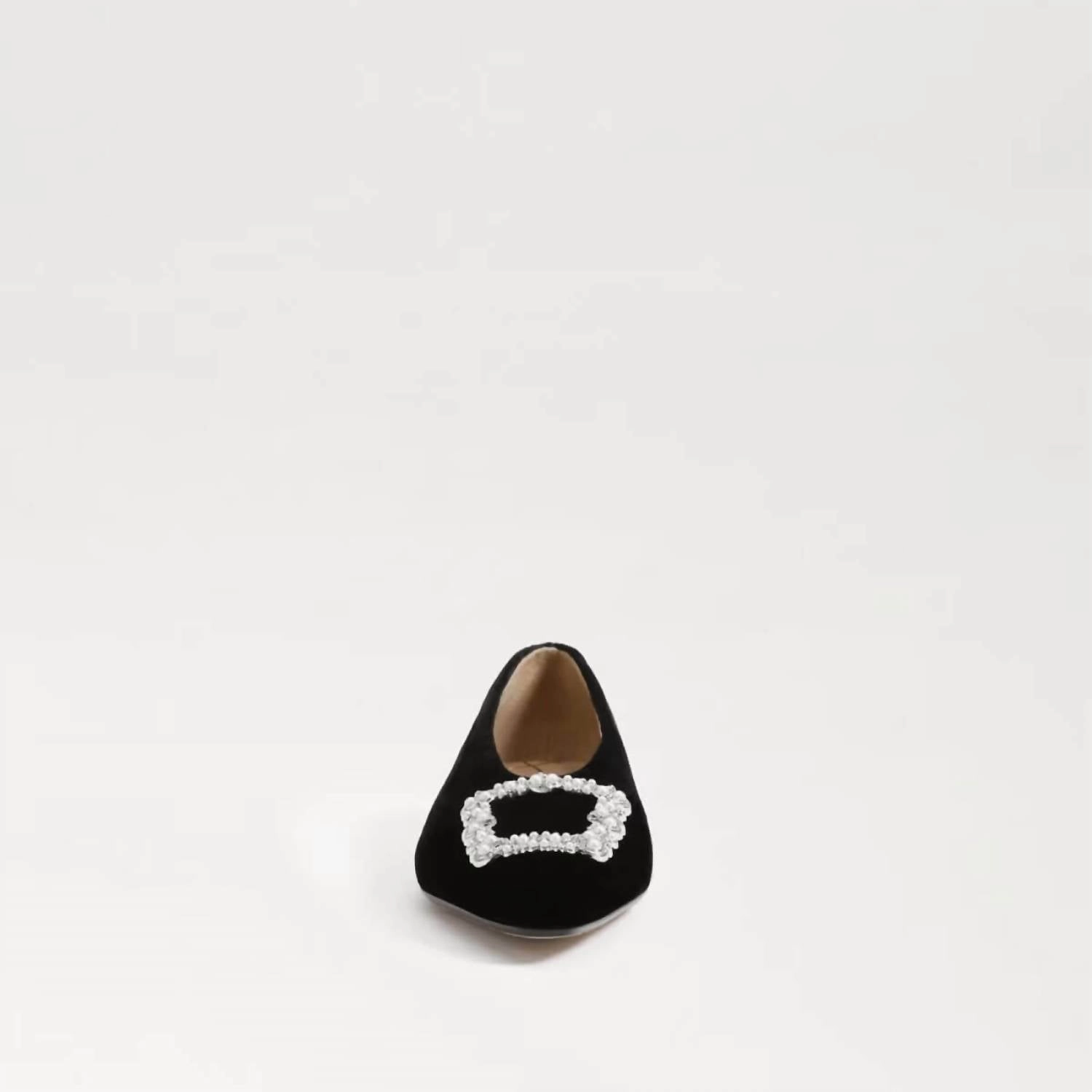 Janina Luster Pointed Toe Flat In Black Velvet
