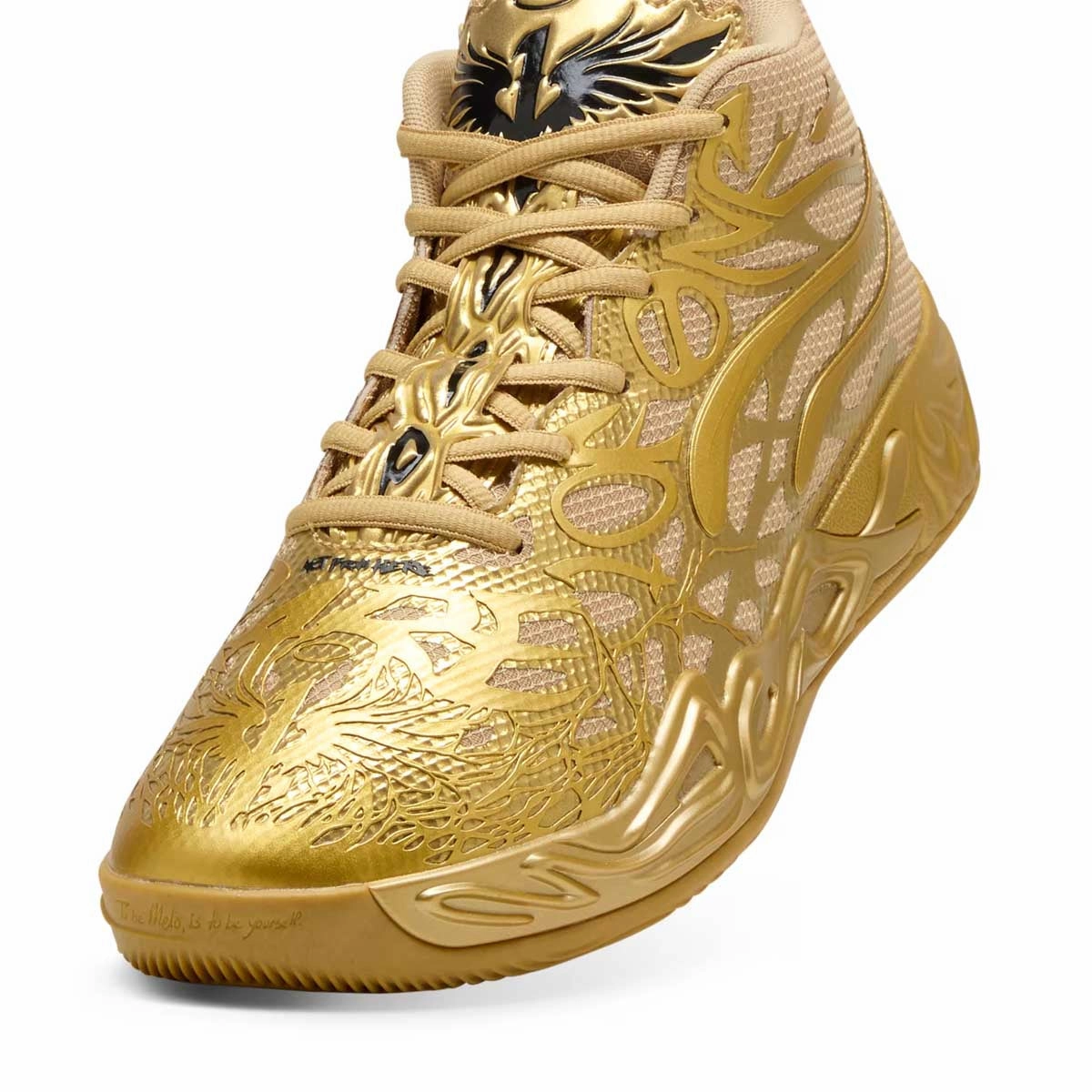 MB.04 'Golden Child'