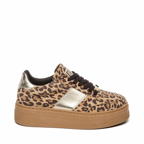 Moxy Trainer LEOPARD Trainers for Women online
