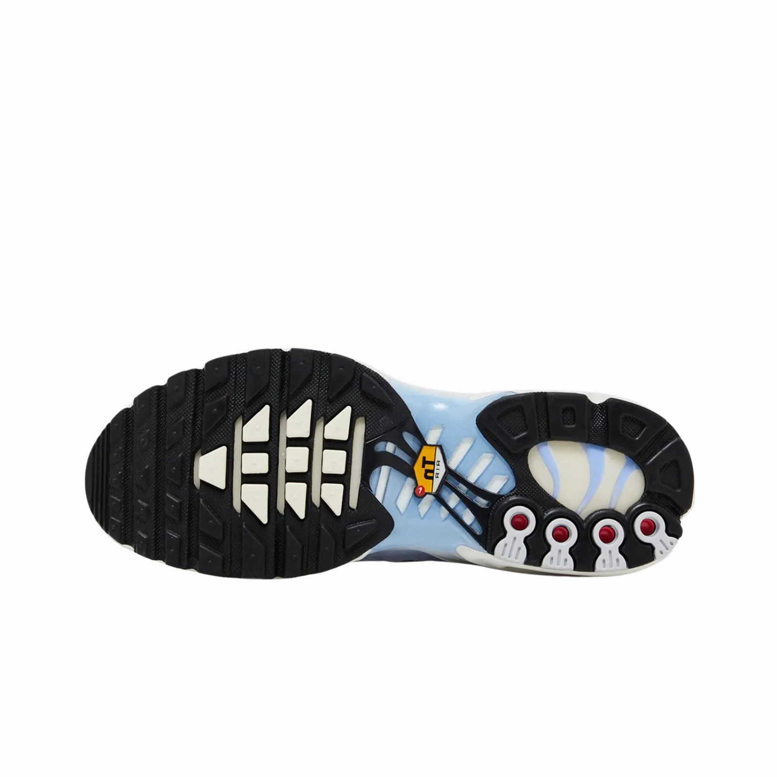 Nike Air Max Plus Daybreak (Women's)