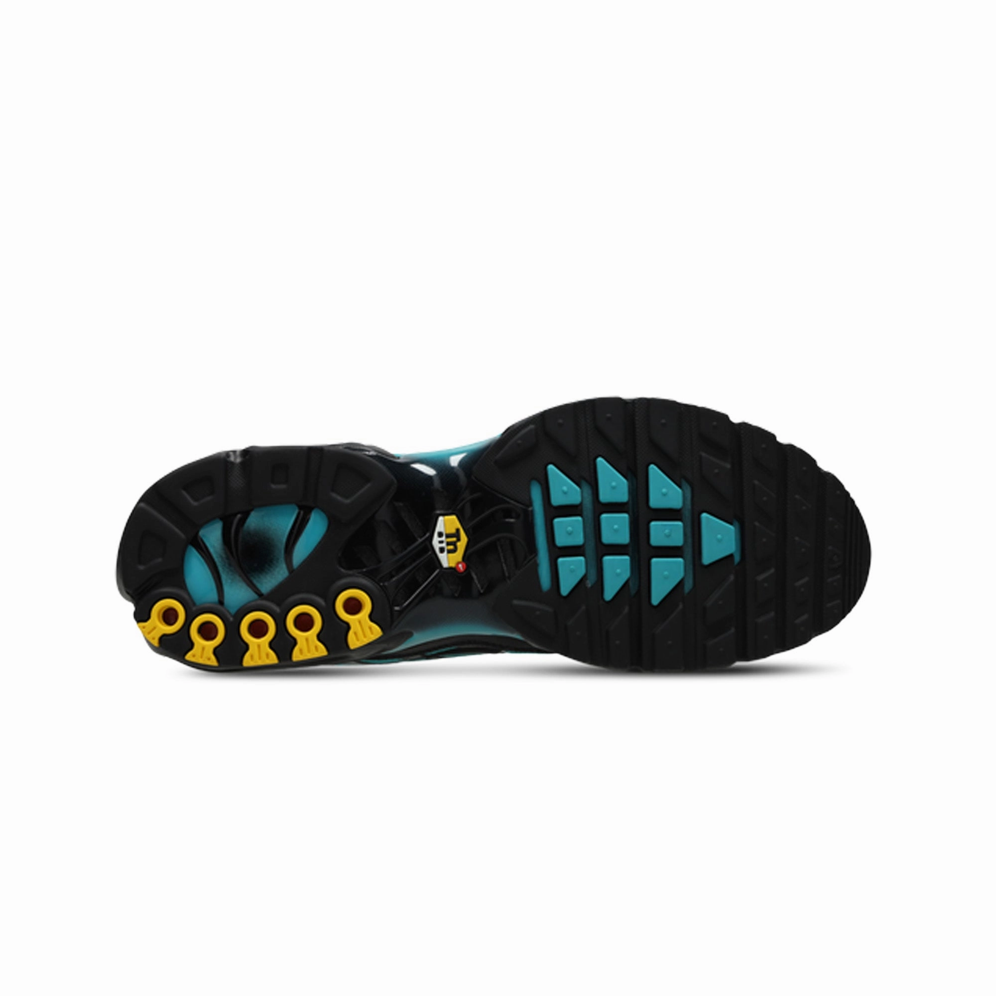 Nike Air Max Plus TN 'Black Dusty Cactus' (2025)