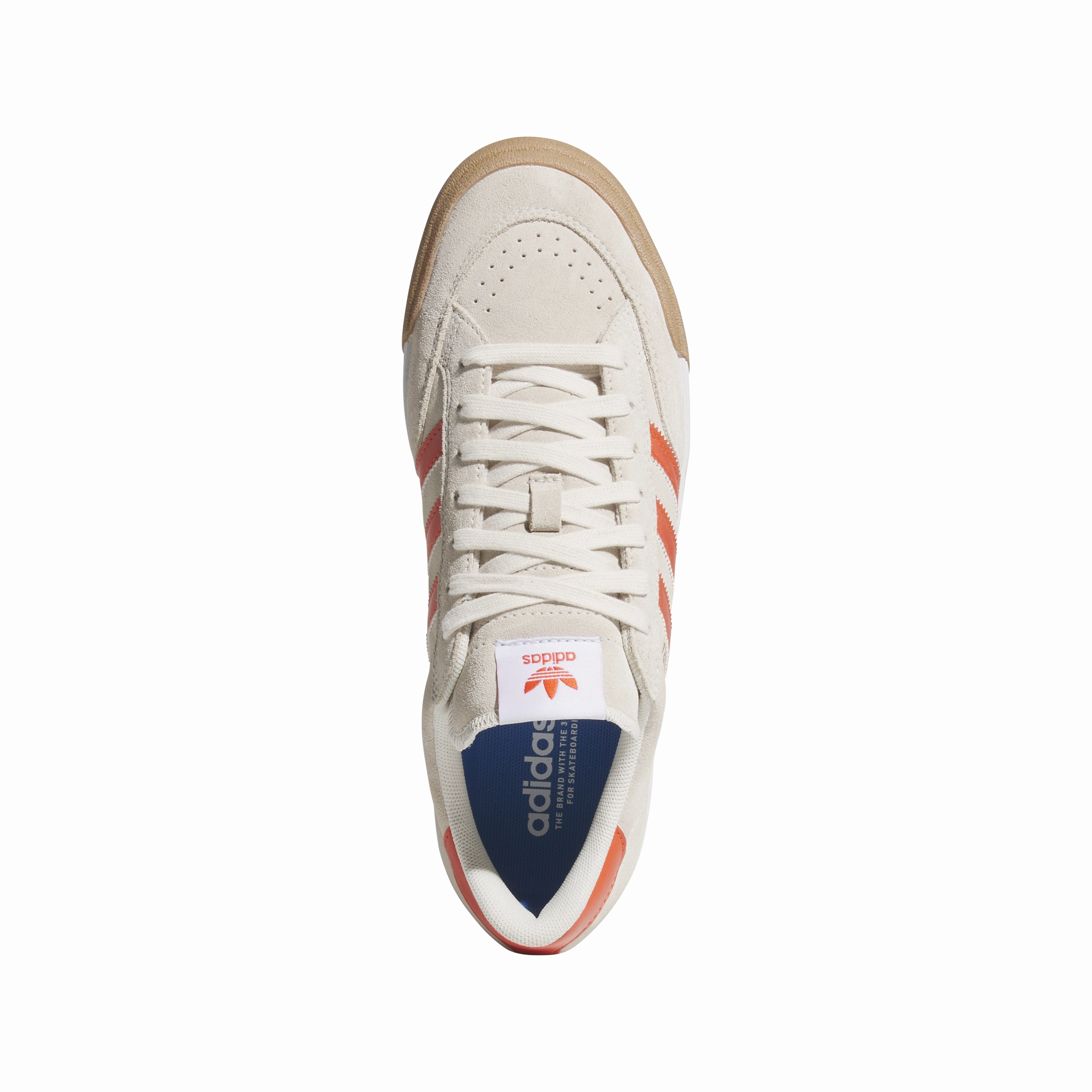 Nora 'Wonder White Orange'