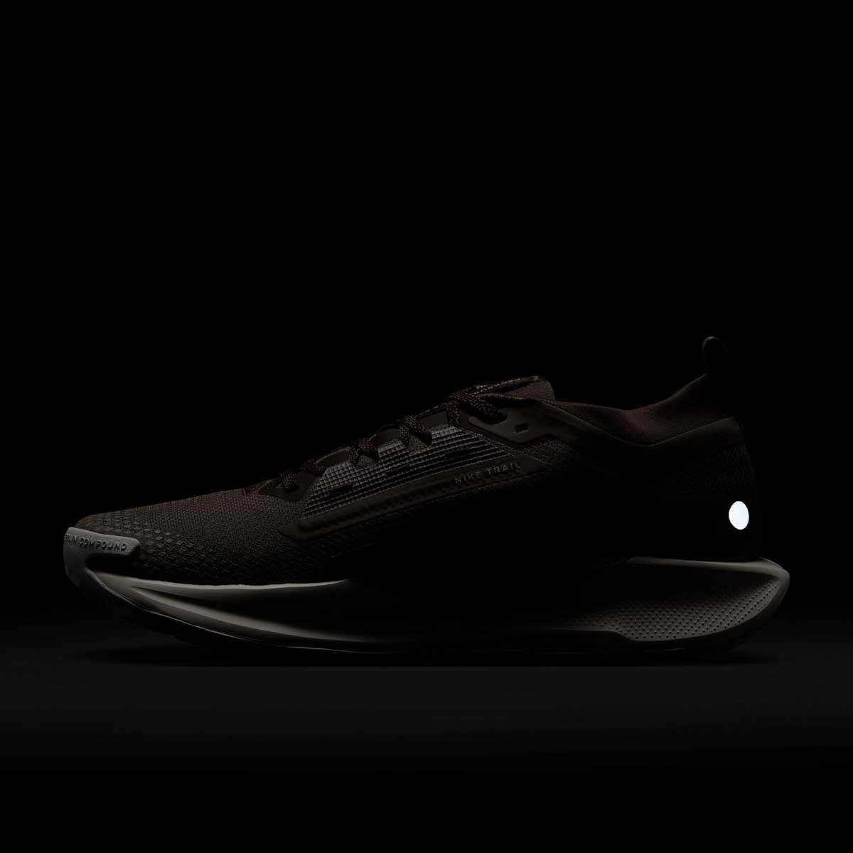 REACTX PEGASUS TRAIL 5 GORE-TEX SP 'Mink Brown Moon Particle'