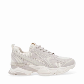 Speedster-E Trainer SILVER COIN Trainers for Women online