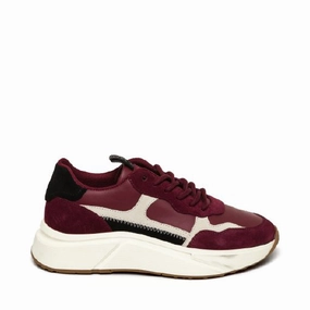 Starlyn Trainer BURGUNDY Trainers for Women online