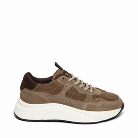 Starlyn Trainer TAUPE/BROWN Trainers for Women online