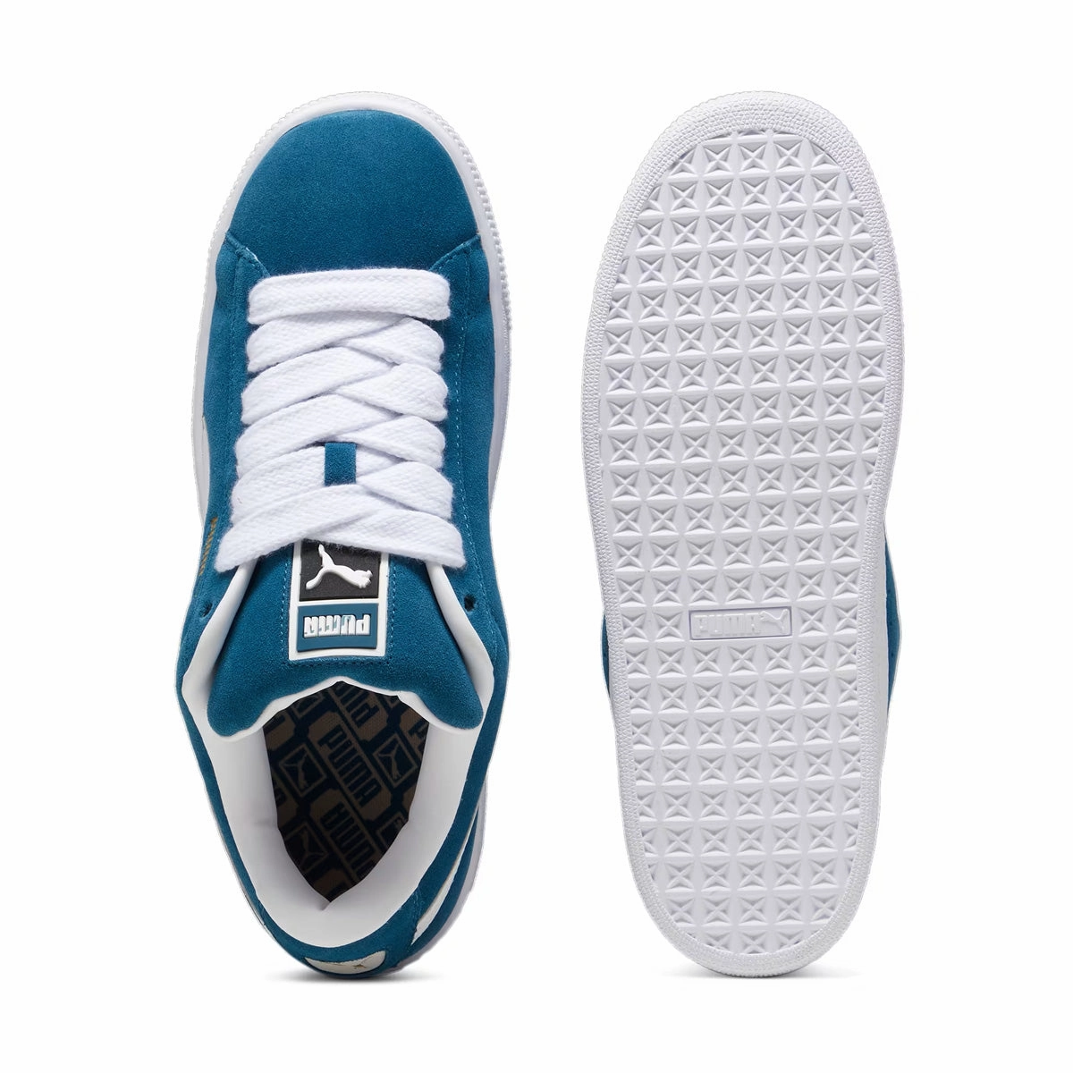 Suede XL 'Ocean Tropic'